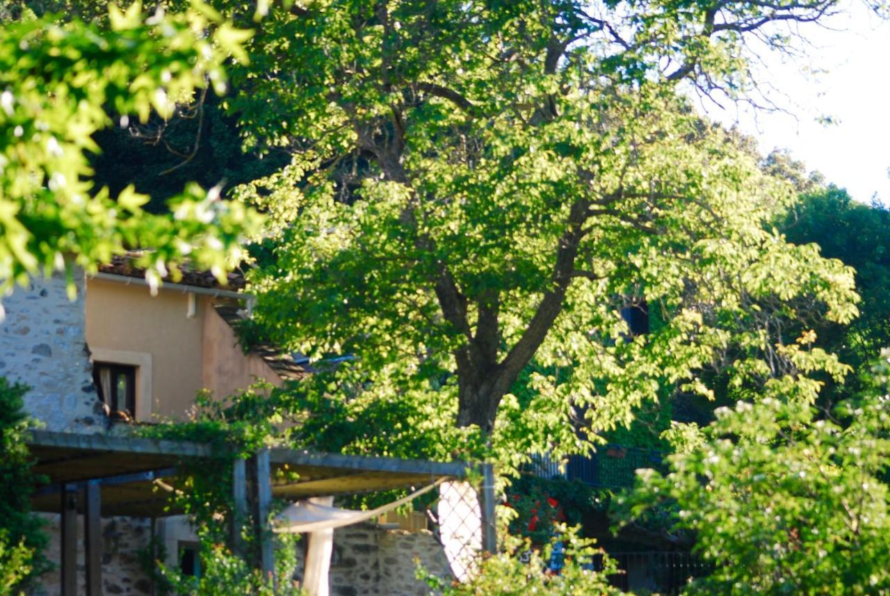Le Moulin D'Arcas. Panzió Prémian Kültér fotó
