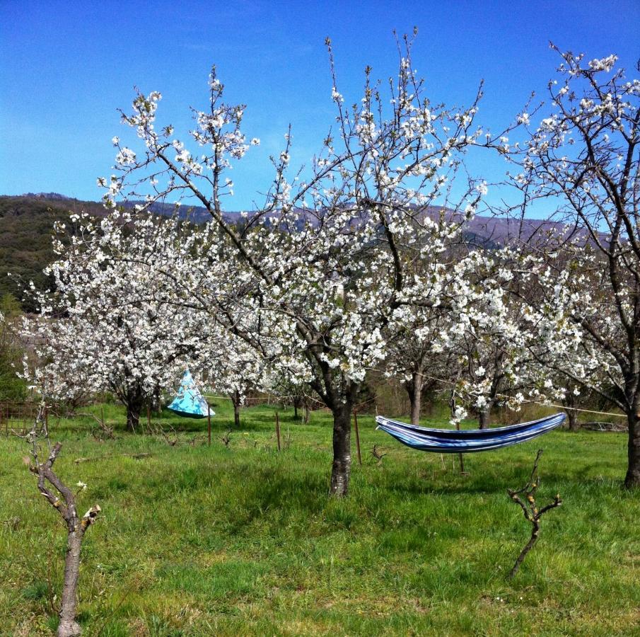 Le Moulin D'Arcas. Panzió Prémian Kültér fotó